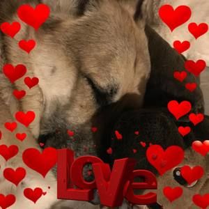 Meet your Posher, Danae